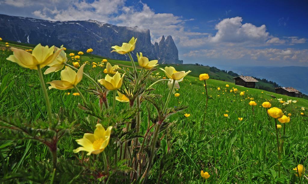 Hotel Garni Alpin Siusi Exterior foto