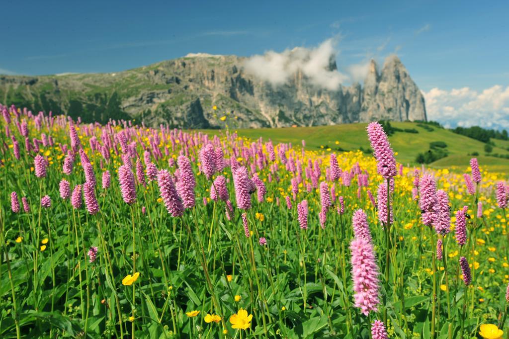 Hotel Garni Alpin Siusi Exterior foto